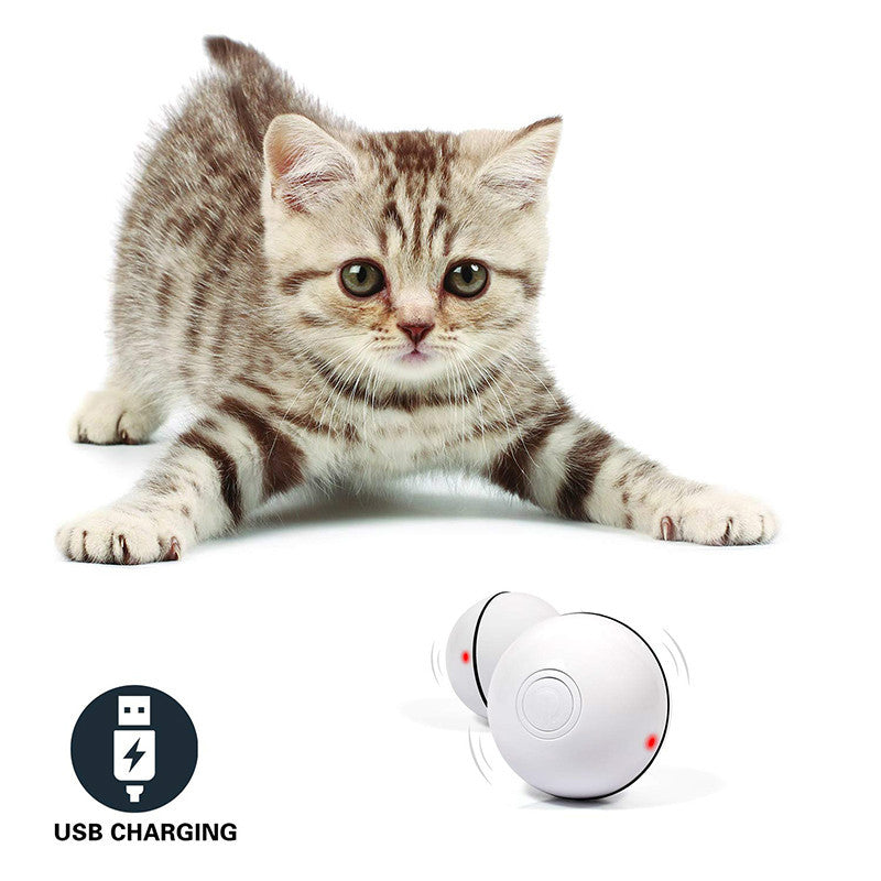 LED Interactive Cat Toy Ball – Electronic Rolling Laser for Indoor Play