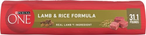 Purina ONE Lamb and Rice Dry Dog Food for Adult Dogs, 31.1 lb Bag – High Protein and Digestive Support"