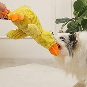 Calming Duck Dog Toy – Soft Yellow Plush Pillow with Quacking Sound for Stress Relief & Indoor Play (2025 New)