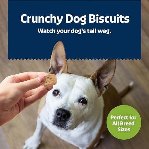 Blue Buffalo Mini Dog Treats with Apple & Yogurt – Crunchy Oven-Baked Biscuits, Natural Ingredients, 16 oz Bag