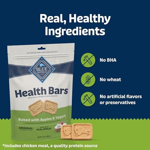 Blue Buffalo Mini Dog Treats with Apple & Yogurt – Crunchy Oven-Baked Biscuits, Natural Ingredients, 16 oz Bag