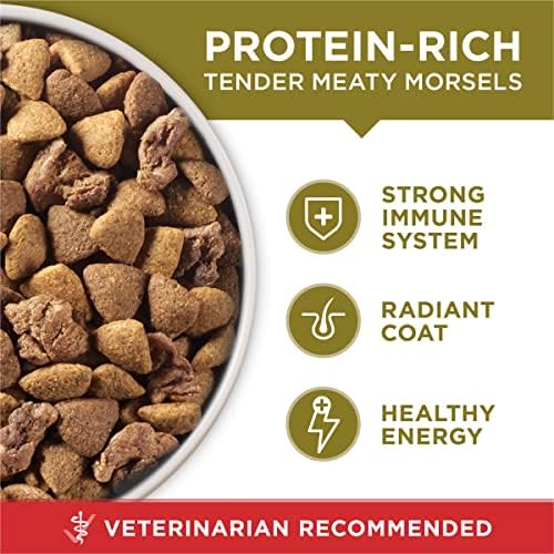 Purina ONE Lamb and Rice Dry Dog Food for Adult Dogs, 31.1 lb Bag – High Protein and Digestive Support"