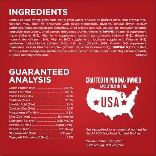 Purina ONE Lamb and Rice Dry Dog Food for Adult Dogs, 31.1 lb Bag – High Protein and Digestive Support"