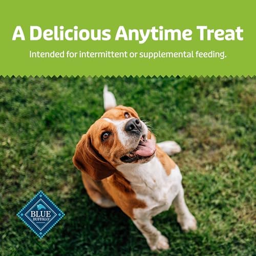 Blue Buffalo Mini Dog Treats with Apple & Yogurt – Crunchy Oven-Baked Biscuits, Natural Ingredients, 16 oz Bag