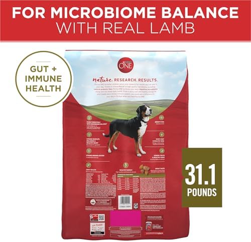 Purina ONE Lamb and Rice Dry Dog Food for Adult Dogs, 31.1 lb Bag – High Protein and Digestive Support"