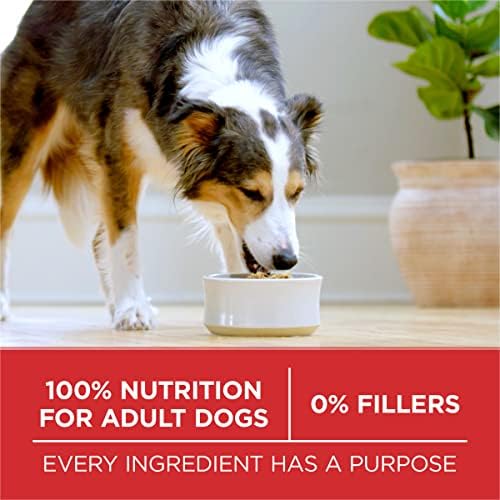 Purina ONE Lamb and Rice Dry Dog Food for Adult Dogs, 31.1 lb Bag – High Protein and Digestive Support"