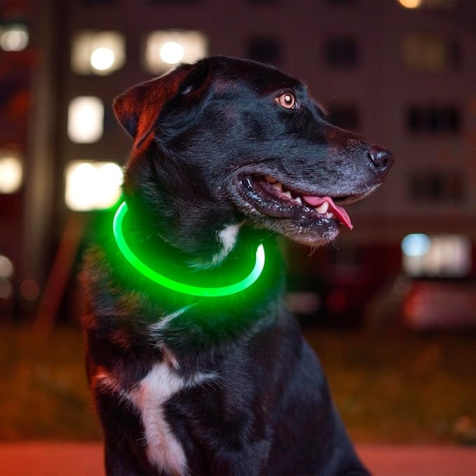 Led Dog Collar, BSEEN USB Rechargeable Flash Dog Necklace Light, Pet Safety Collar Makes Your Beloved Dogs Be Seen at Night for Small Medium Large Dogs
