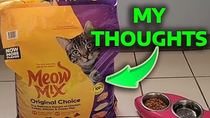 Meow Mix Dry Cat Food for Adult Cats, Chicken & Seafood Flavor, 6.3 lb Bag