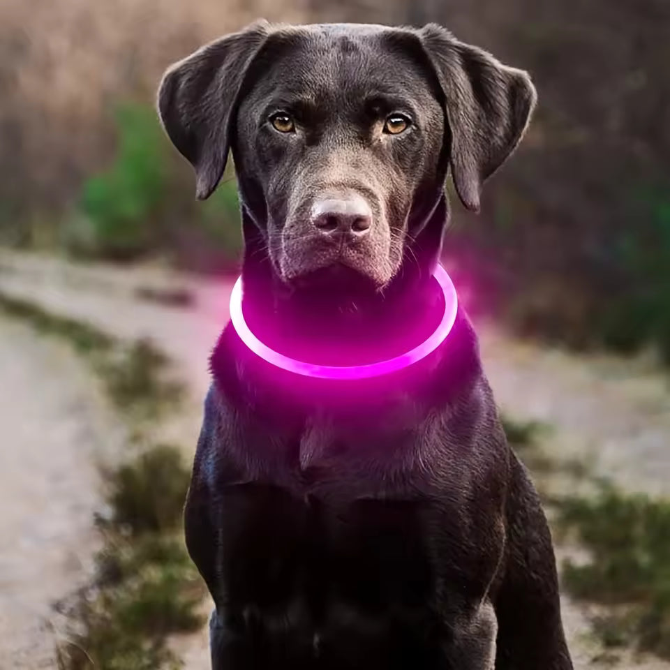 Led Dog Collar, BSEEN USB Rechargeable Flash Dog Necklace Light, Pet Safety Collar Makes Your Beloved Dogs Be Seen at Night for Small Medium Large Dogs