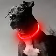 Led Dog Collar, BSEEN USB Rechargeable Flash Dog Necklace Light, Pet Safety Collar Makes Your Beloved Dogs Be Seen at Night for Small Medium Large Dogs