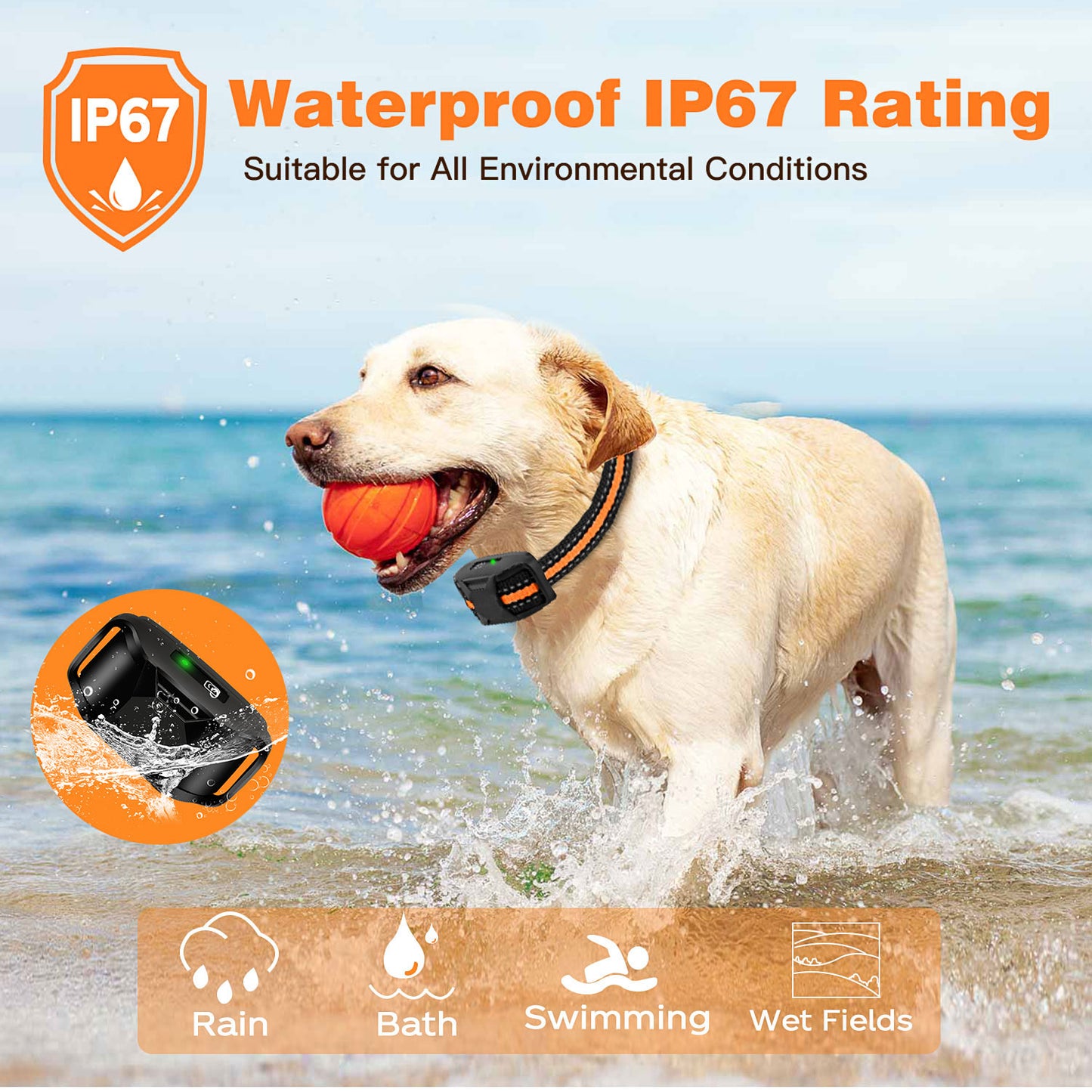 Waterproof Dog Training Collar with Remote – 3300Ft Range, Shock & Vibration for Small, Medium & Large Dogs (5–120 lbs)