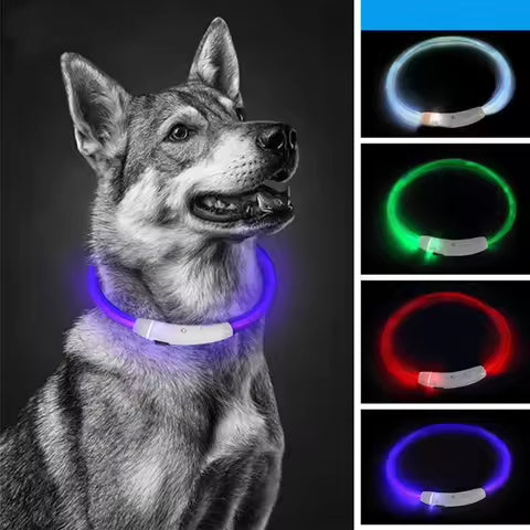 LED Dog Collar – USB Rechargeable Light-Up Safety Necklace