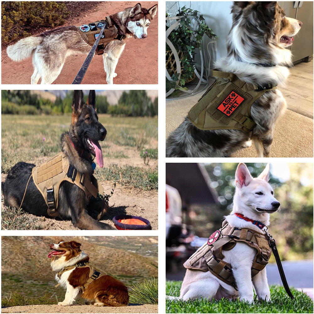 Large Dog Harness and Leash Set with MOLLE Pouches – Training and Walking Vest for German Shepherd, Malinois, and Medium to Large Dogs