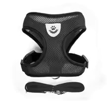 Adjustable Cat and Small Dog Harness with Leash – Soft Mesh Vest with Reflective Strips – Breathable and Comfortable Pet Walking Set
