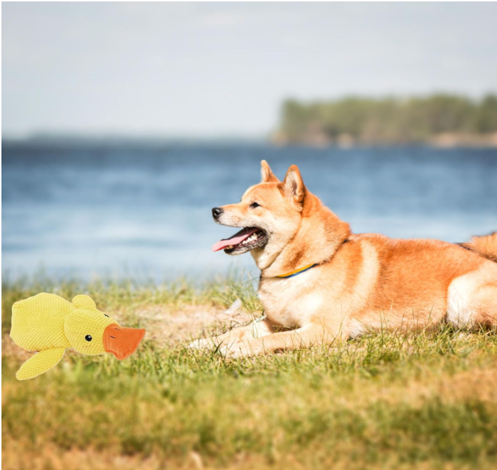 Calming Duck Dog Toy – Soft Yellow Plush Pillow with Quacking Sound for Stress Relief & Indoor Play (2025 New)