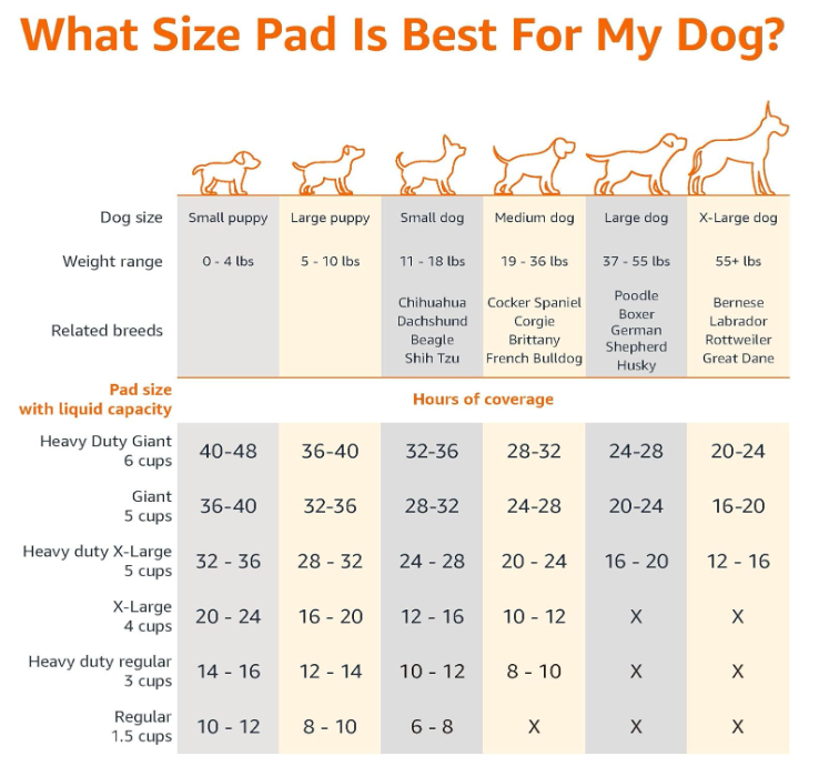 Basics Dog and Puppy Pee Pads, 5-Layer Leak-Proof Super Absorbent, Quick-Dry Surface, Potty Training, Regular (22x22"), 100 Count, Blue & White
