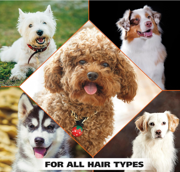 Wahl USA Dog Shampoo for Dry, Itchy Skin – Oatmeal, Coconut & Lime Scent, Gentle and Pet-Safe Formula, 24 oz