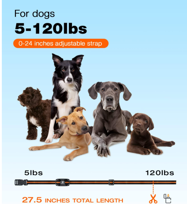 Waterproof Dog Training Collar with Remote – 3300Ft Range, Shock & Vibration for Small, Medium & Large Dogs (5–120 lbs)