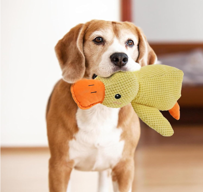 Calming Duck Dog Toy – Soft Yellow Plush Pillow with Quacking Sound for Stress Relief & Indoor Play (2025 New)