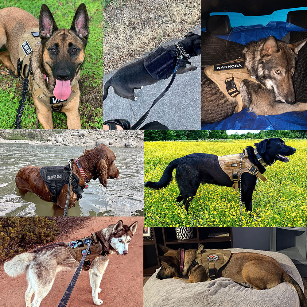 Large Dog Harness and Leash Set with MOLLE Pouches – Training and Walking Vest for German Shepherd, Malinois, and Medium to Large Dogs