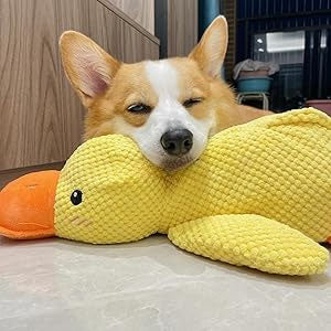 Calming Duck Dog Toy – Soft Yellow Plush Pillow with Quacking Sound for Stress Relief & Indoor Play (2025 New)