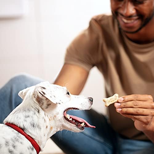 Milk-Bone Dog Treats for Medium Dogs – Original Crunchy Biscuits, 10 lb Bulk Box