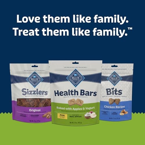 Blue Buffalo Mini Dog Treats with Apple & Yogurt – Crunchy Oven-Baked Biscuits, Natural Ingredients, 16 oz Bag