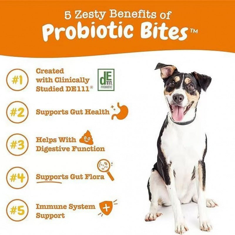 315g Probiotic Chews for Dogs & Cats – Digestive Support & Intestinal Health
