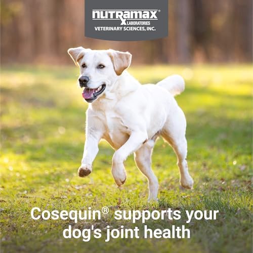 Nutramax Cosequin Joint Health Supplement for Dogs – Glucosamine, Chondroitin & MSM – Hip and Joint Support Chewable Tablets, 132 Count
