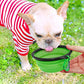 Collapsible Silicone Dog Bowl with Water Bottle – 2-in-1 Portable Pet Feeder for Dogs & Cats, Travel Food and Water Dispenser with Clip