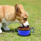 Collapsible Silicone Dog Bowl with Water Bottle – 2-in-1 Portable Pet Feeder for Dogs & Cats, Travel Food and Water Dispenser with Clip