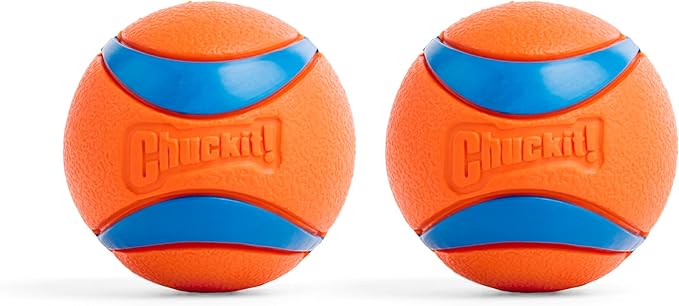 Durable Dog Chew Ball – Tough Bouncy Fetch Toy
