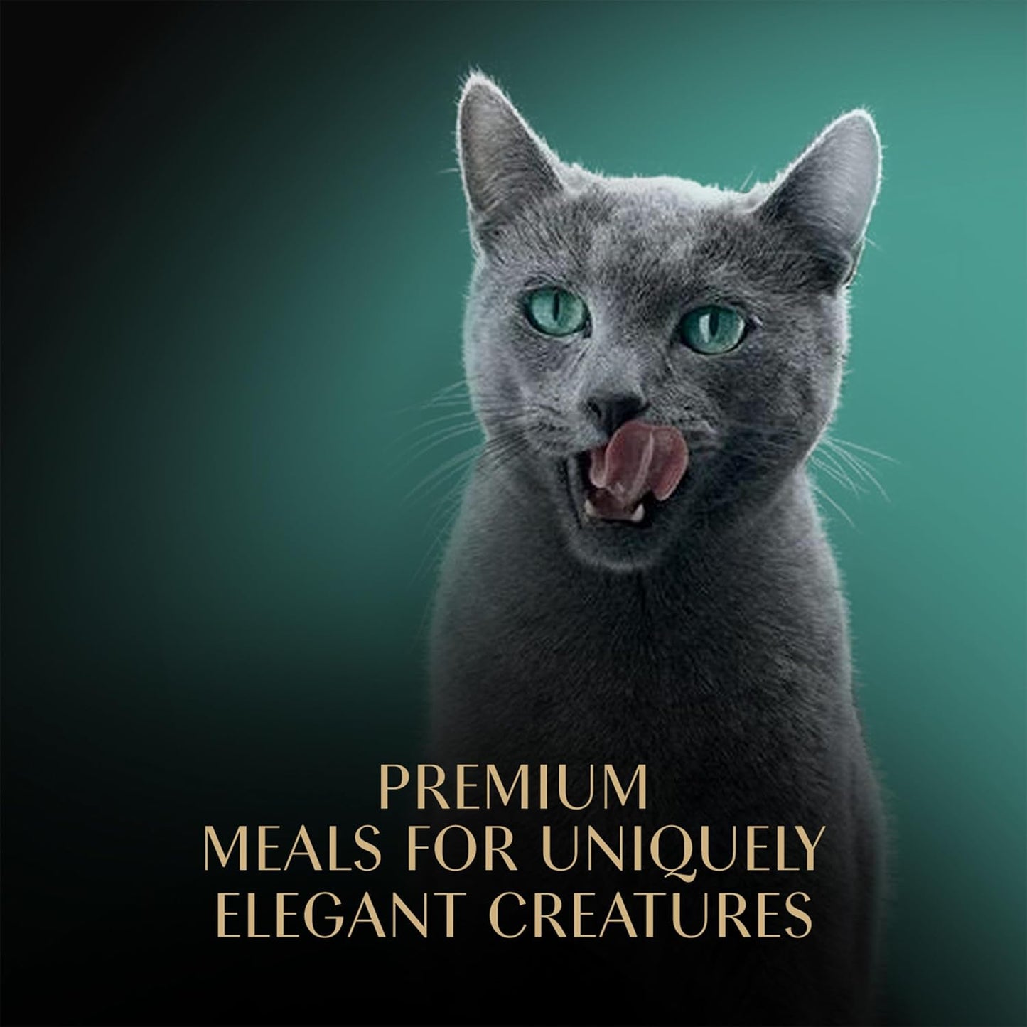 Sheba Perfect Portions Wet Cat Food – Cuts in Gravy Variety Pack