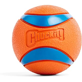 Durable Dog Chew Ball – Tough Bouncy Fetch Toy