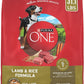 Purina ONE Lamb and Rice Dry Dog Food for Adult Dogs, 31.1 lb Bag – High Protein and Digestive Support"