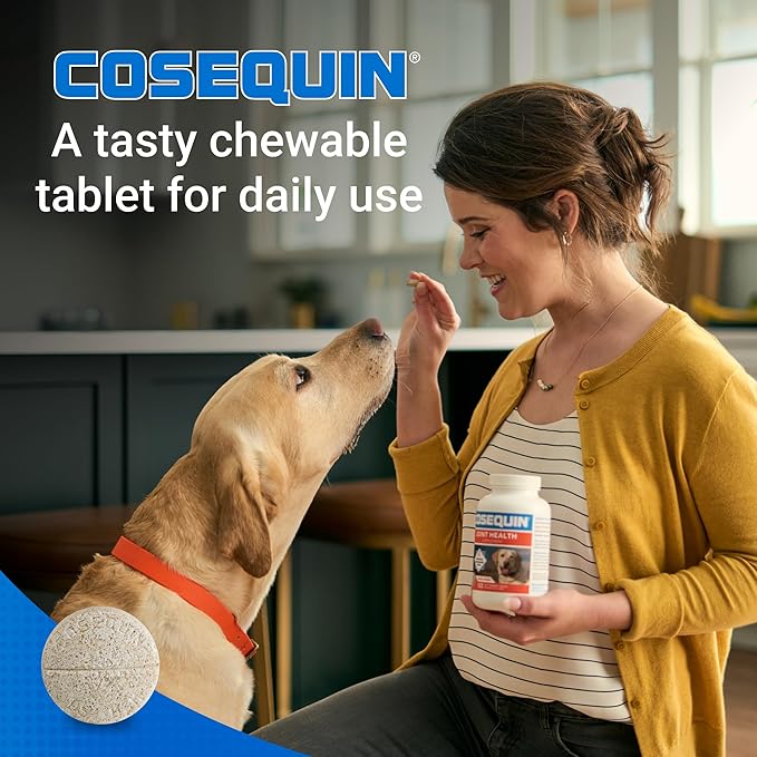 Nutramax Cosequin Joint Health Supplement for Dogs – Glucosamine, Chondroitin & MSM – Hip and Joint Support Chewable Tablets, 132 Count