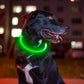 Led Dog Collar, BSEEN USB Rechargeable Flash Dog Necklace Light, Pet Safety Collar Makes Your Beloved Dogs Be Seen at Night for Small Medium Large Dogs