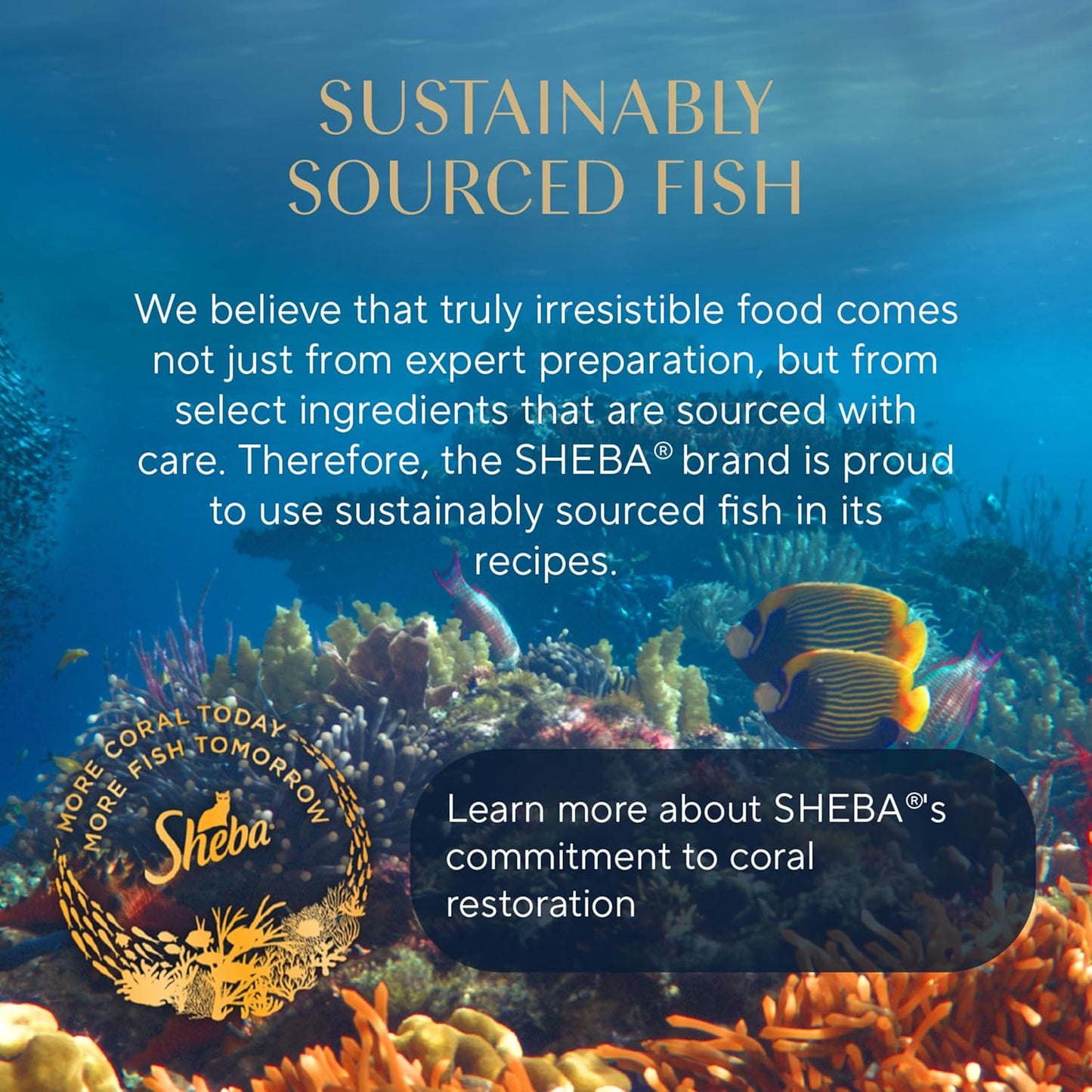 Sheba Perfect Portions Wet Cat Food – Cuts in Gravy Variety Pack