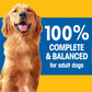 Pedigree Adult Dry Dog Food, Grilled Steak & Vegetable Flavor, 18 lb Bag – Complete Nutrition for Healthy Dogs