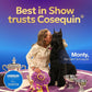 Nutramax Cosequin Joint Health Supplement for Dogs – Glucosamine, Chondroitin & MSM – Hip and Joint Support Chewable Tablets, 132 Count
