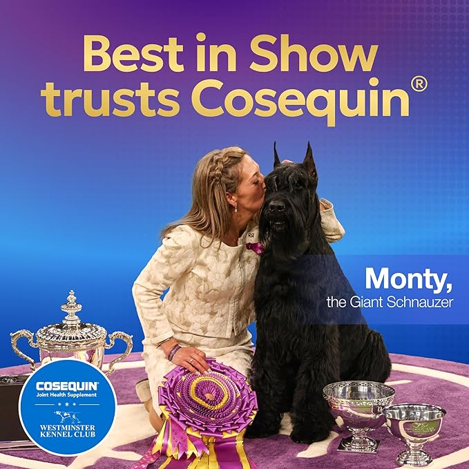 Nutramax Cosequin Joint Health Supplement for Dogs – Glucosamine, Chondroitin & MSM – Hip and Joint Support Chewable Tablets, 132 Count