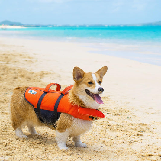 Reflective Pet Life Jacket Outdoor Safety Training Suit Swimwear