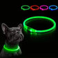 LED Dog Collar – USB Rechargeable Light-Up Safety Necklace