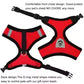 Adjustable Cat and Small Dog Harness with Leash – Soft Mesh Vest with Reflective Strips – Breathable and Comfortable Pet Walking Set