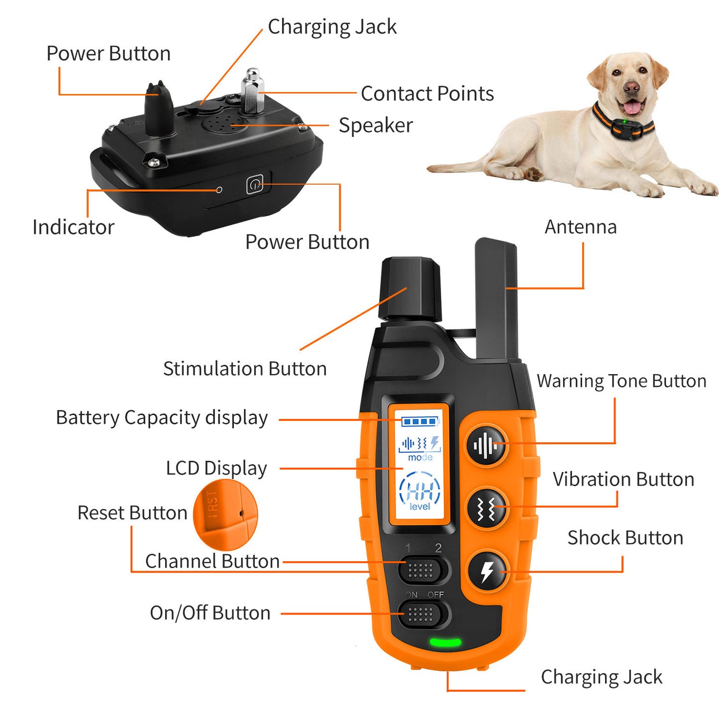 Waterproof Dog Training Collar with Remote – 3300Ft Shock & Vibration