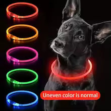 LED Dog Collar – USB Rechargeable Light-Up Safety Necklace