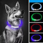 LED Dog Collar – USB Rechargeable Light-Up Safety Necklace