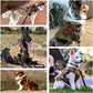 Large Dog Harness and Leash Set with MOLLE Pouches – Training and Walking Vest for German Shepherd, Malinois, and Medium to Large Dogs
