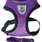 Adjustable Cat & Small Dog Harness with Leash – Soft Mesh Vest