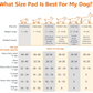 Basics Dog and Puppy Pee Pads, 5-Layer Leak-Proof Super Absorbent, Quick-Dry Surface, Potty Training, Regular (22x22"), 100 Count, Blue & White